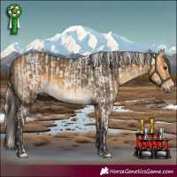 Horse Color:Silver Grullo Tobiano Rabicano  and Buckskin 