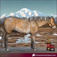 Horse Color:Silver Grullo Tobiano Rabicano  and Buckskin 