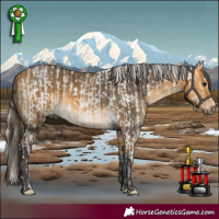 Horse Color:Silver Grullo Tobiano Rabicano  and Buckskin 