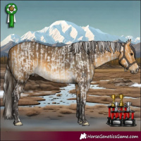 Horse Color:Silver Grullo Tobiano Rabicano  and Buckskin 