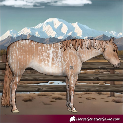Horse Color:Liver Red Dun Roan Tobiano  and Red Dun 