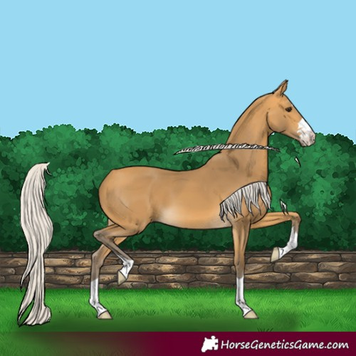 Horse Color:Silver Buckskin 