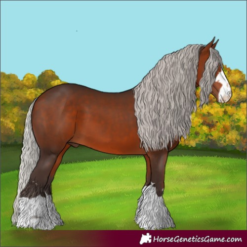 Horse Color:Silver Brown 