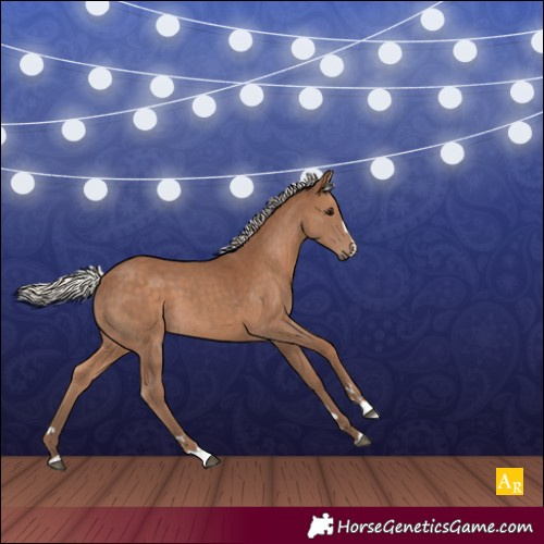 Horse Color:Silver Black 