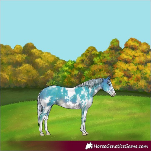 Horse Color:Watercolor White Spotted Silver Brown Sabino 