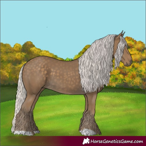 Horse Color:Silver Smoky Black 