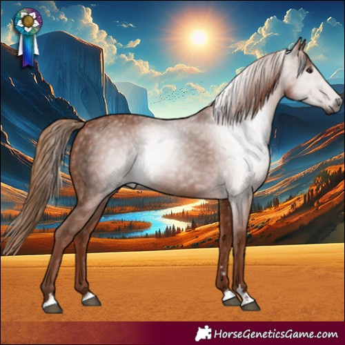 Horse Color:Gray Chestnut 