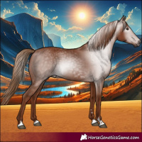 Horse Color:Gray Chestnut
