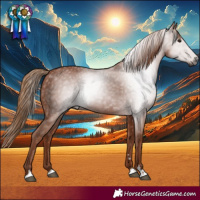 Horse Color:Gray Chestnut