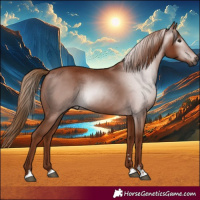 Horse Color:Gray Chestnut 