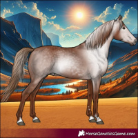Horse Color:Gray Chestnut