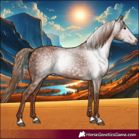 Horse Color:Gray Chestnut 