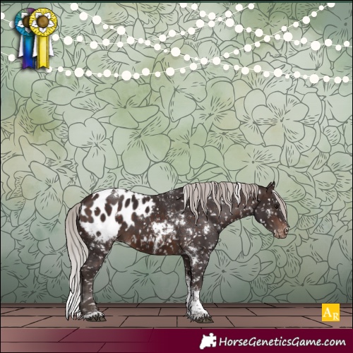 Horse Color:White Spotted Silver Brown Tobiano Appaloosa 