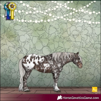 Horse Color:White Spotted Silver Brown Tobiano Appaloosa