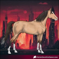Horse Color:Bay Dun Splash Rabicano