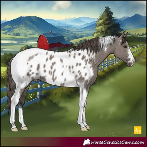 Horse Color:Smoky Grullo Tobiano Near Leopard 