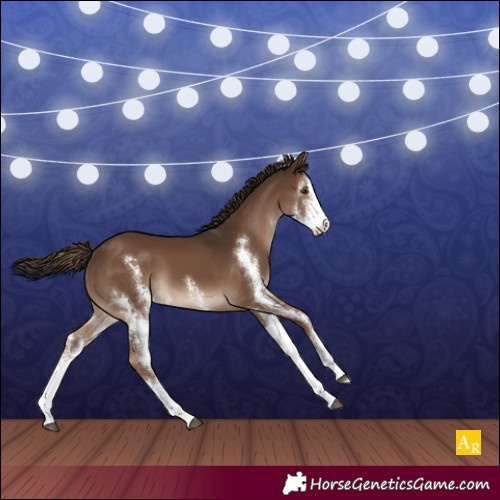 Horse Color:Liver Chestnut Sabino 