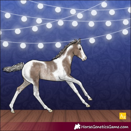 Horse Color:Silver Black Sabino Tobiano Varnish Rabicano 