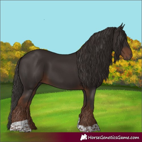 Horse Color:Liver Chestnut Tobiano