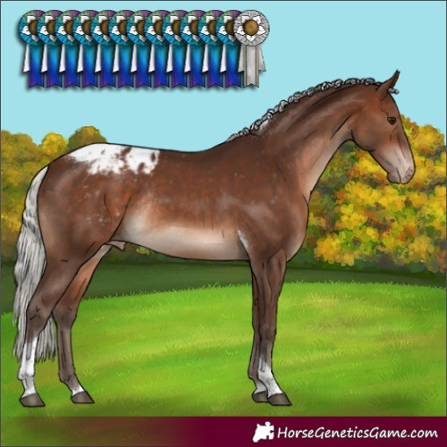 Horse Color:Silver Brown Tobiano Varnish Rabicano 