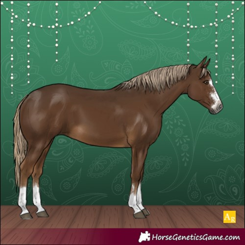 Horse Color:Gray Chocolate Palomino 