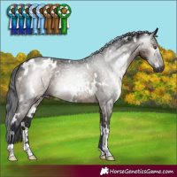 Horse Color:Gray White Spotted Brown Dun Mushroom Varnish Brindle