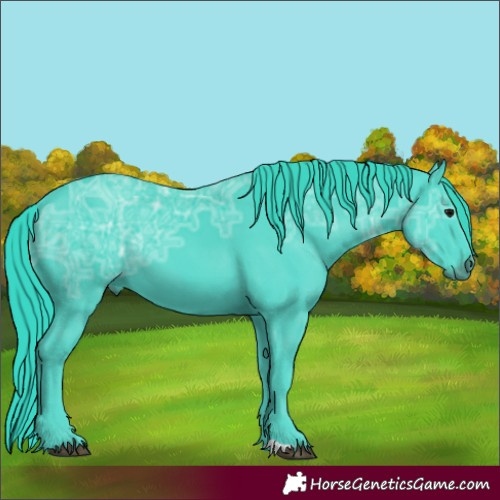 Horse Color:Watercolor Black Ice 
