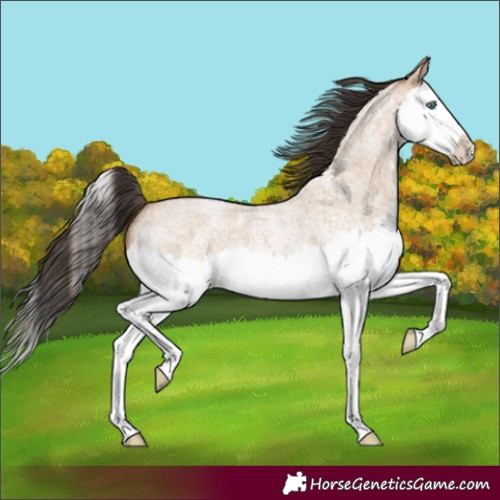 Horse Color:Bay Roan Dun Splash 