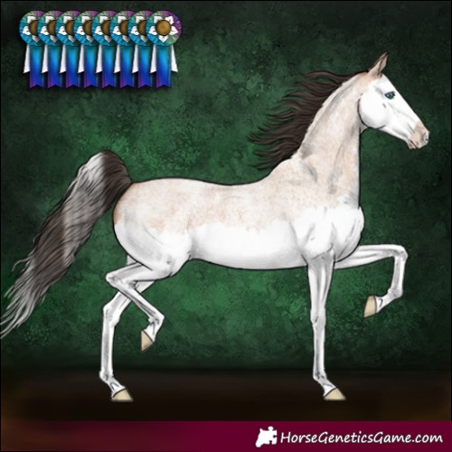 Horse Color:Bay Roan Dun Splash 