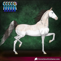 Horse Color:Bay Roan Dun Splash 