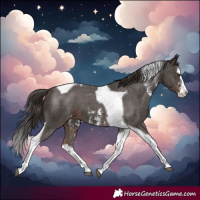 Horse Color:Liver Chestnut Sabino Splash Tobiano Varnish