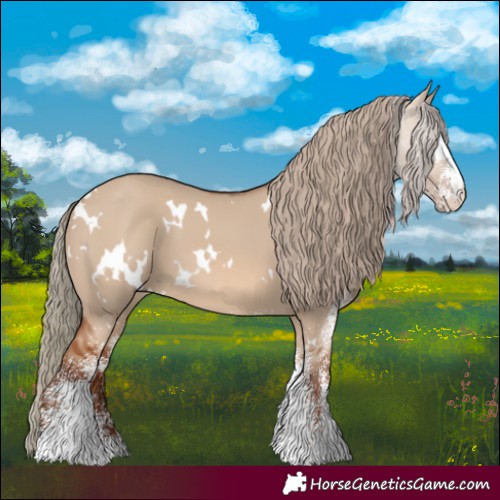 Horse Color:White Spotted Red Dun 