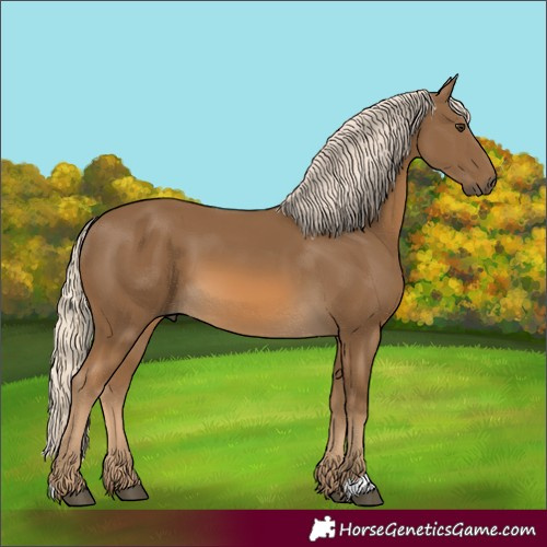 Horse Color:Unknown 
