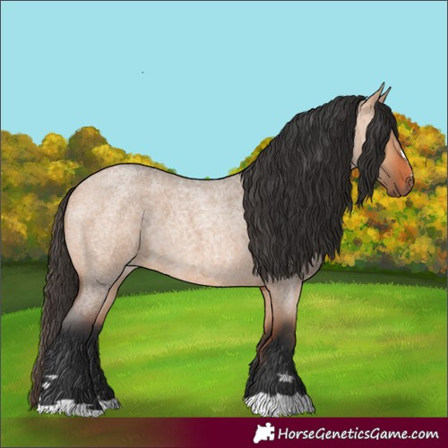 Horse Color:Bay Roan Dun 