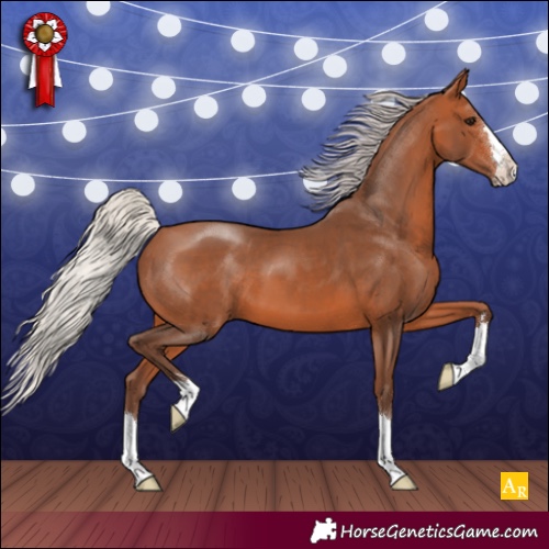 Horse Color:Silver Bay 