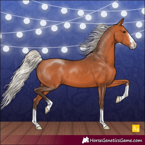 Horse Color:Silver Bay 