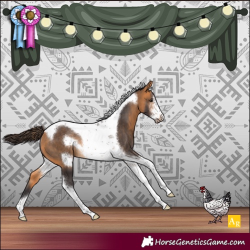 Horse Color:Buckskin Sabino Tobiano Frame Rabicano 