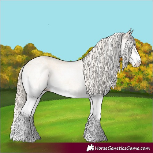 Horse Color:White Spotted Perlino 