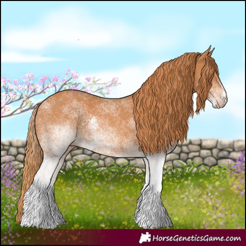 Horse Color:White Spotted Chestnut 