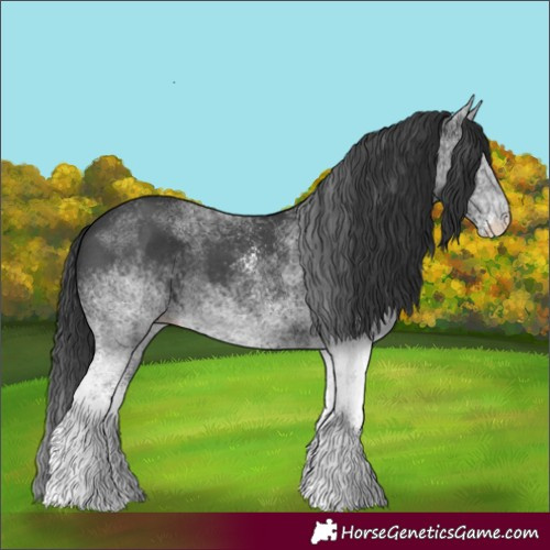 Horse Color:White Spotted Black 
