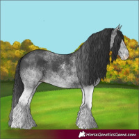 Horse Color:White Spotted Black 