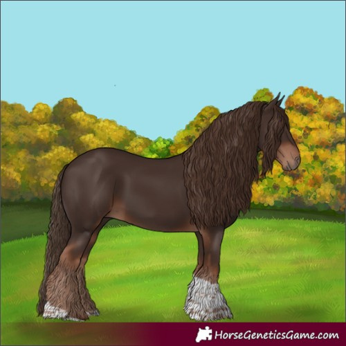 Horse Color:Liver Chestnut Tobiano 