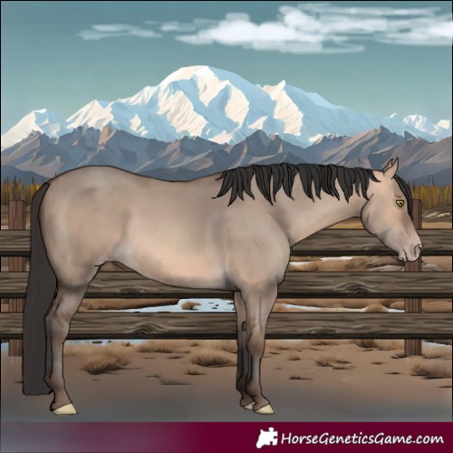 Horse Color:Sable Champagne Dun 
