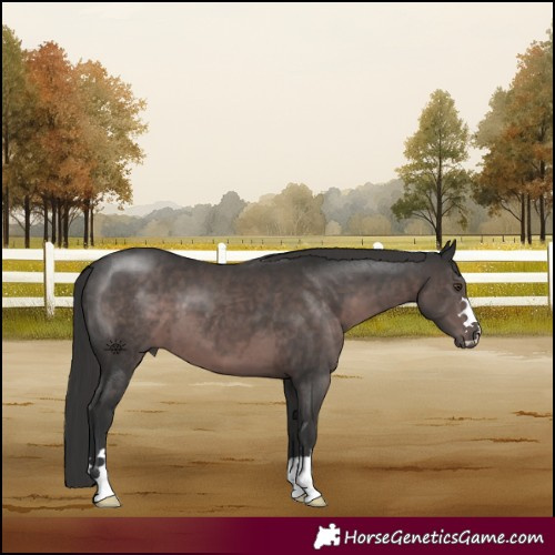 Horse Color:Platinum Liver Chestnut 
