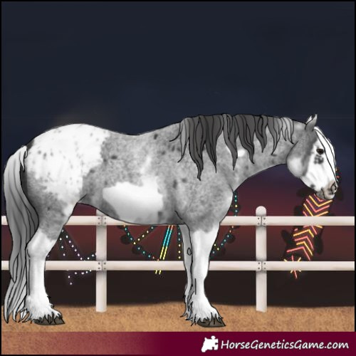 Horse Color:White Spotted Blue Roan Splash Frame Blanket 