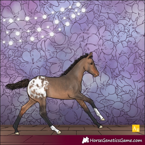 Horse Color:Bay Dun Varnish 
