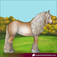 Horse Color:Gray Palomino 