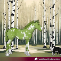 Horse Color:Watercolor White Spotted Liver Chestnut