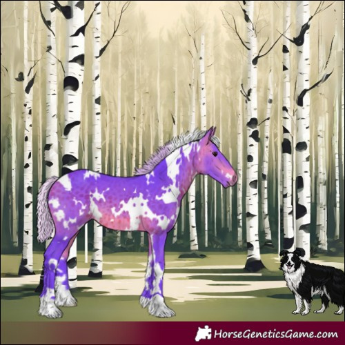 Horse Color:Watercolor White Spotted Silver Brown 