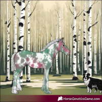 Horse Color:Watercolor White Spotted Silver Bay